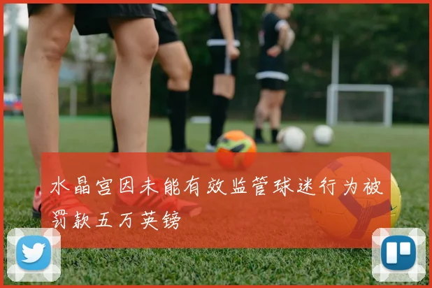 水晶宫因未能有效监管球迷行为被罚款五万英镑